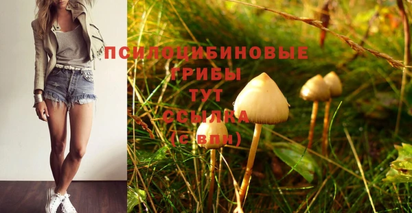 скорость Алексин