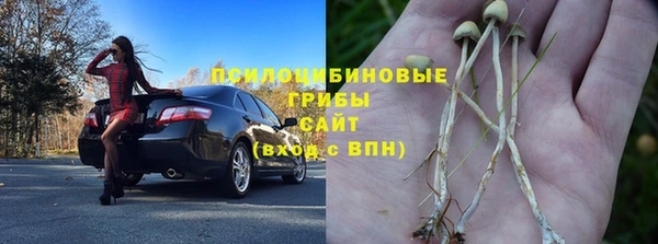 скорость Алексин