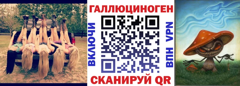 Галлюциногенные грибы Psilocybe  дарнет шоп  Наволоки 