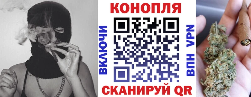 Конопля Amnesia  где найти наркотики  Наволоки 